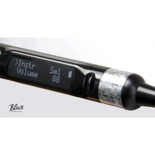 Electronic Chanters